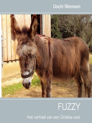 cover image of Fuzzy